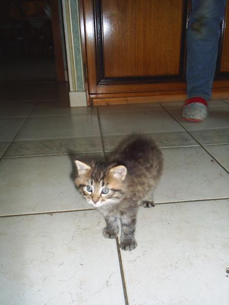 Notre prochain pensionnaire